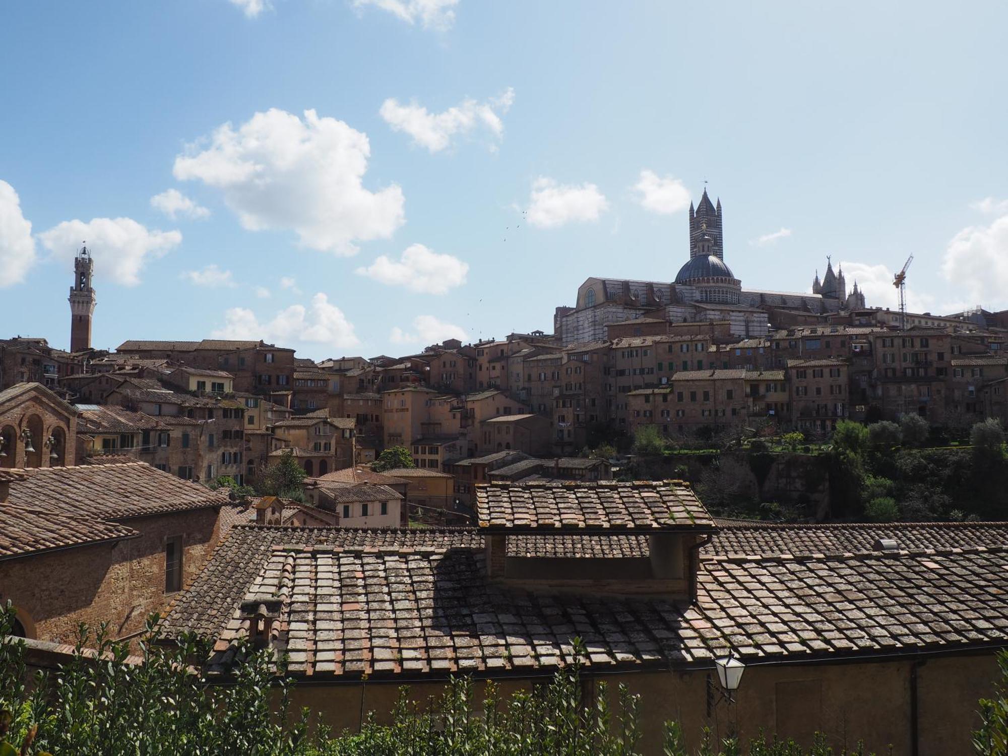 The Rose Apartamento Siena
